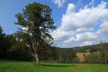 Landscape of Jawornik former and abandoned village in Low Beskids, Poland