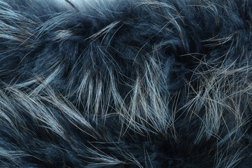 The texture of natural dyed fur. Creative coloring book. Selective focus