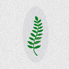 green leaves on white background