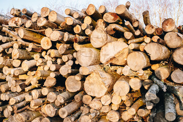 Pile of wooden timber, stack of logs