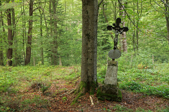 Old cemetery with many vampire burial in Jawornik - former and abandoned village in Low Beskids, Poland