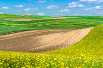 Field and blue sky with clouds