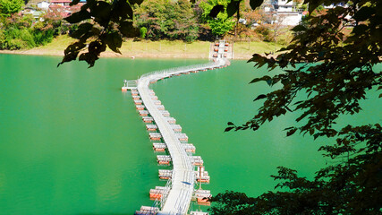 首都圏のオアシス・エメラルドグリーンの奥多摩湖のドラム缶橋(留浦浮橋)　3304