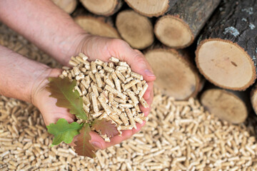 Man's hands full of wood pellets - renewable energy