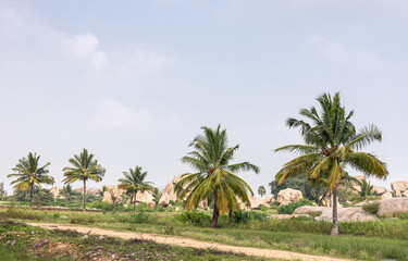 Obraz na płótnie Canvas Hampi, Karnataka, India - November 5, 2013: Lakshmi Narasimha Temple. Landscape with palm trees and brown rock boulders under blue sky with green foliage and grass up front.