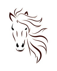 Fototapeta premium Horse head with mane on white background. Line drawing in black and brown.