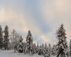 Schwarzwald bei Hinterzarten im Winter