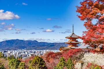 秋の京都の風景　真っ赤な紅葉と清水寺