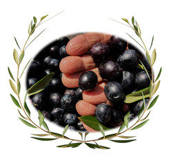 oil olives praize award wreath leaves in green olive trees background, glass bowl