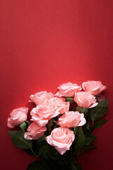 pink roses in red background to celebrate anniversary, happy valentine 's day or mother day wallpaper, flyers, invitation, posters, brochure, banners