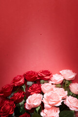 red and pink roses in red background to celebrate anniversary, happy valentine 's day or mother day wallpaper, flyers, invitation, posters, brochure, banners