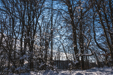 Christmas views from Western Hungary