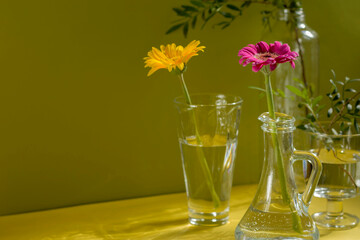 Beautiful shadows from glass vases in sunlight. Gerberas in glass bottles on a yellow background. A floral minimalistic concept in a modern interior with harsh light and shadow. Copy space