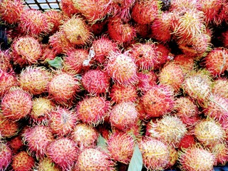 Rambutan fruta tropical 