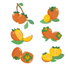 Collection of persimmon icons in orange and yellow colors Set of flat vector ilustrations