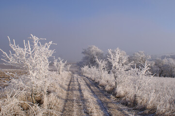 Der frostige Weg nach Ufhoven