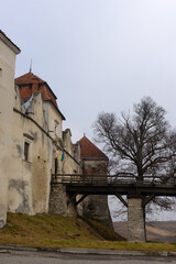 Svirzh castle