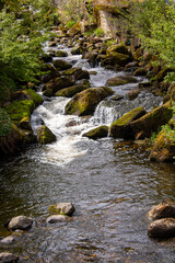 Fototapeta premium Wasserfall Triberg
