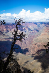 Adventure man at the Grand Canyon, Arizona, Bright Angel Trail in the mist