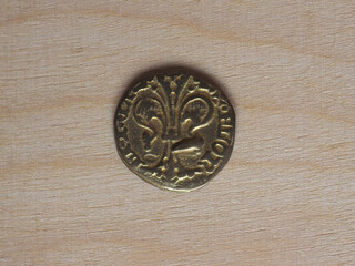 Obraz na płótnie Canvas Gold Florin coin