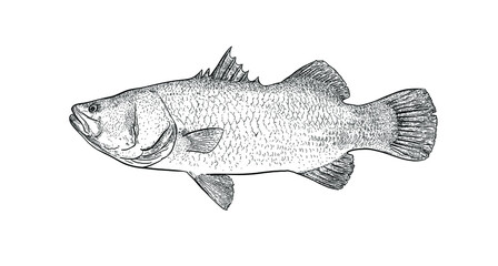 Fish line drawing, popular as a healthy food to help control weight.