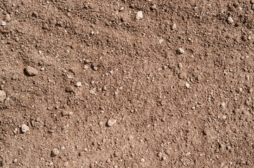 Part of a terrain with fertile soil, illuminated by the sun