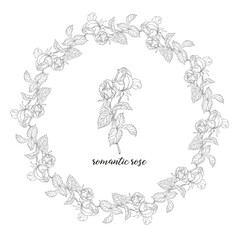 Vector set of flower compositions with rose flowers. Floral wreath. Rose.