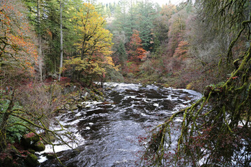 The Hermitage site on the banks of the River Braan in Craigvinean Forest, Scotland