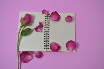 Blank notebook
Roses in the pink background
Valentines day ideas