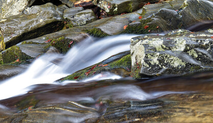 stream in the mountains