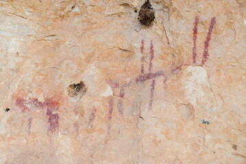 Red rock paintings in the lapel of the eagle on limestone rock in the gorges of the duraton dated to the bronze age