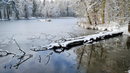Piękny zimowy poranek nad stawem w parku. Śnieg na drzewach.  - obrazy, fototapety, plakaty