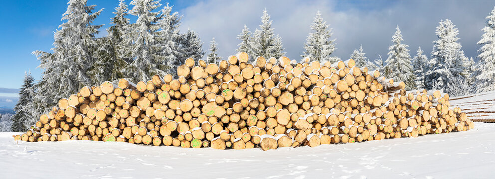 Holzstapel im Winterwald von Th&uuml;ringen. Polter aus Nadelholz im Th&uuml;ringer Wald, Panorama