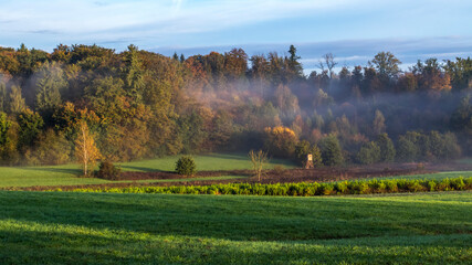 Naklejka premium Herbstliche Morgenstimmung, Notzingen, Baden-Württemberg