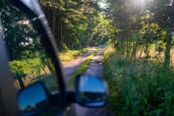 Road in forest