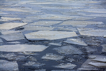 Drifting ice floes. Melting ice, many small ice floes on the water surface © Simon