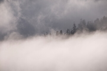 Mists and Rainforest, Zimovia Strait, Alaska