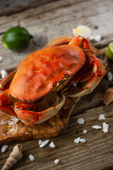 seafood, fish, shrimp, background, sea, lobster, octopus, lemon, oyster, cooking, food, fresh, ingredient, table, menu, prawn, dinner, luxury, crustacean, lime, shell, ice, mediterranean, parsley, res