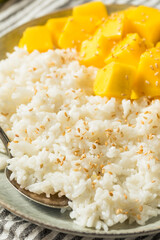 Homemade Mango Sticky Rice