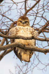 What are you looking at?