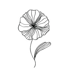 Decorative flower. Vector stock illustration eps10. Hand drawing, outline.