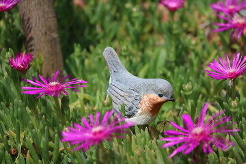  Delosperma cooperi and Ceramic robins