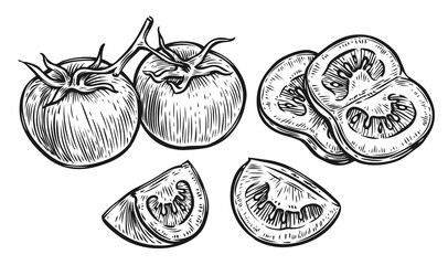 Tomato and slice. Vegetables sketch vector