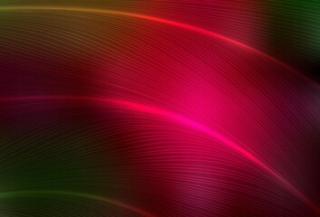 Dark Green, Red vector backdrop with curved lines.
