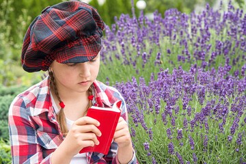 Little girl reading a red book , lavender flowers in the background