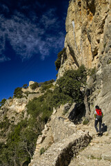 Camino al castillo de Alar&oacute;(s.X). Alar&oacute; .Sierra de Tramuntana. Mallorca. Baleares.Espa&ntilde;a.
