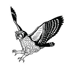 Owl in flight. Vector stock illustration eps10. Hand drawing, outline.