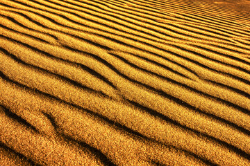 sand texture with waves