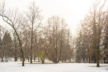 Fototapeta premium Snowing day on Prague. People walk on Park Letna while tram travel through the city, close to Hradcanska in Prague 6