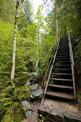 Ravennaschlucht Fußweg über Treppe